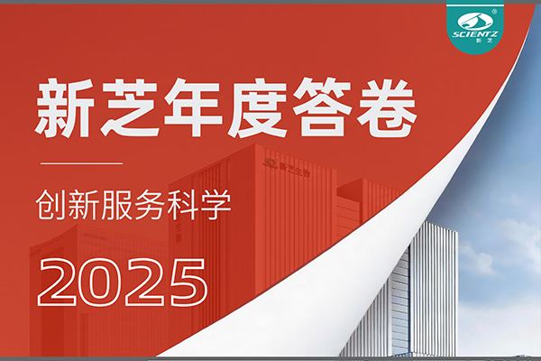 「新芝2025年度答卷」以深耕赴山海，以創(chuàng)新啟新程！