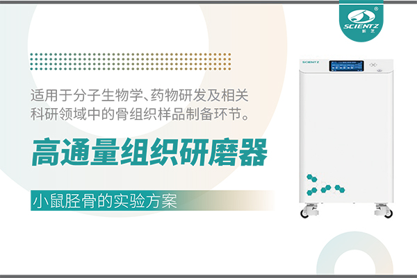 高通量組織研磨器處理小鼠脛骨樣品的實驗方案