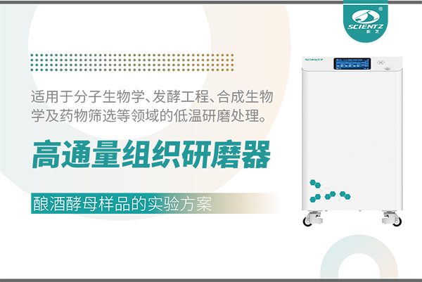 冷凍型高通量組織研磨器處理釀酒酵母樣品的實驗方案