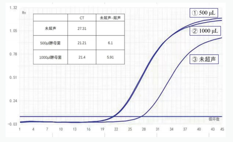 酵母菌樣本超聲破碎后前后擴(kuò)增循環(huán)數(shù)對比