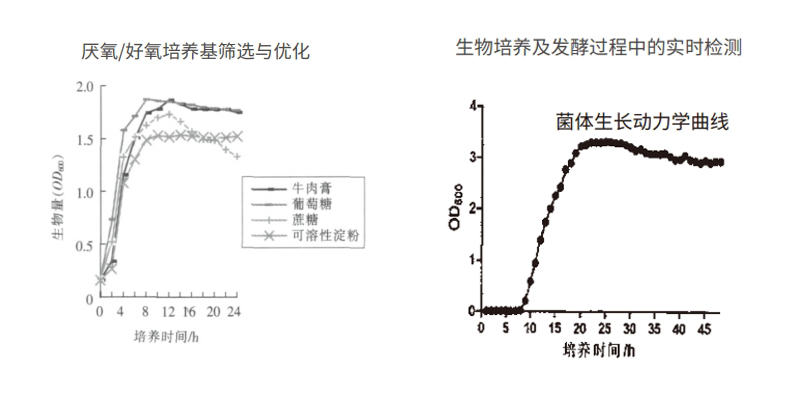 過程安全，結(jié)果精準